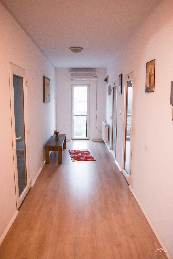 Spacious And Cozy 3Bd+Terrace Couples Apartment Temeşvar Dış mekan fotoğraf