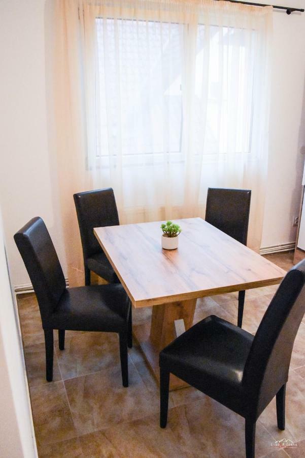 Spacious And Cozy 3Bd+Terrace Couples Apartment Temeşvar Dış mekan fotoğraf