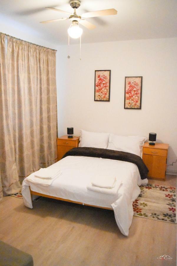 Spacious And Cozy 3Bd+Terrace Couples Apartment Temeşvar Dış mekan fotoğraf