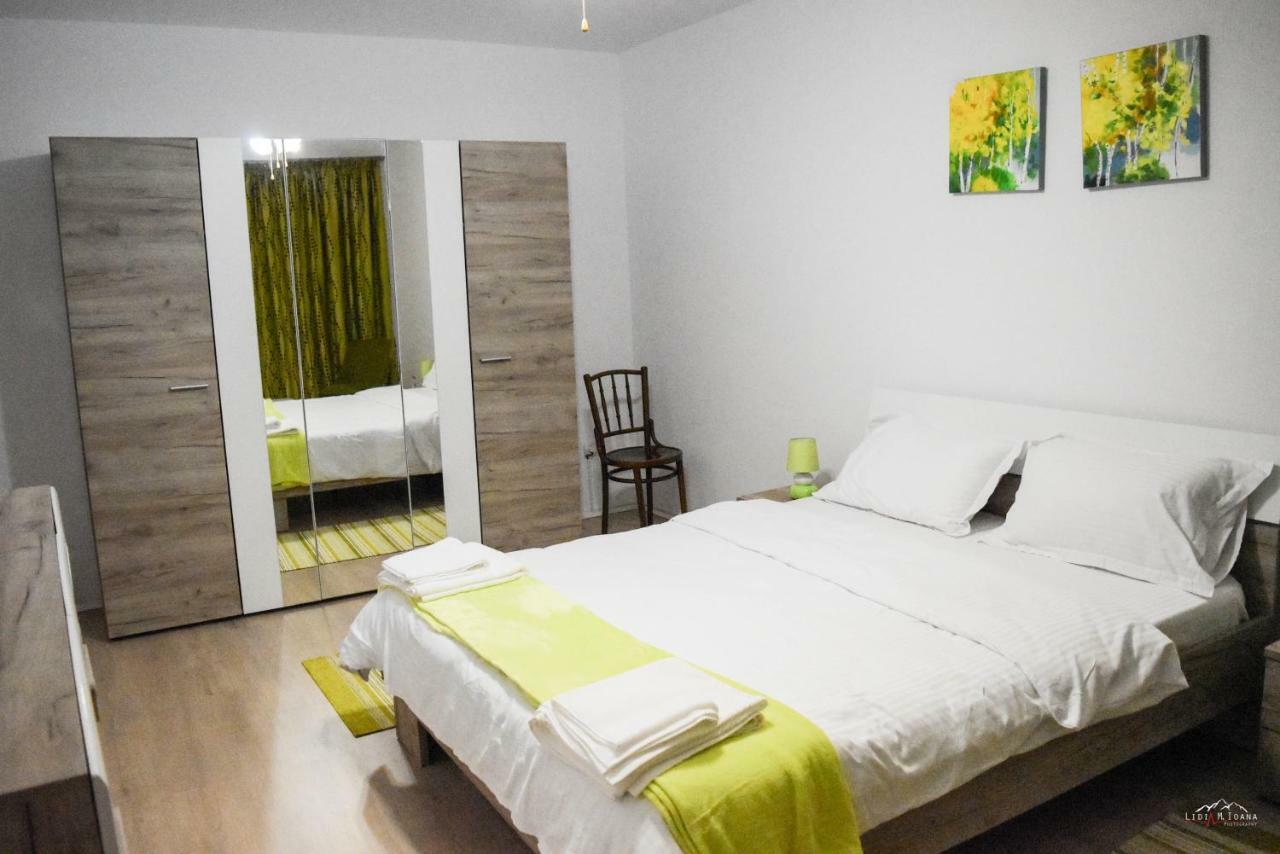 Spacious And Cozy 3Bd+Terrace Couples Apartment Temeşvar Dış mekan fotoğraf