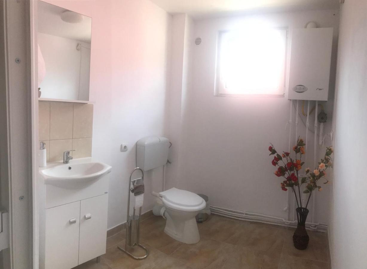 Spacious And Cozy 3Bd+Terrace Couples Apartment Temeşvar Dış mekan fotoğraf